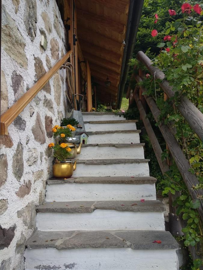 Il Ciliegio Bed & Breakfast Imer Ngoại thất bức ảnh